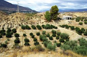 08 20210922 ALMERIA UN CROCHET PAR TERQUE MAISON TROGLODYTE (3)
